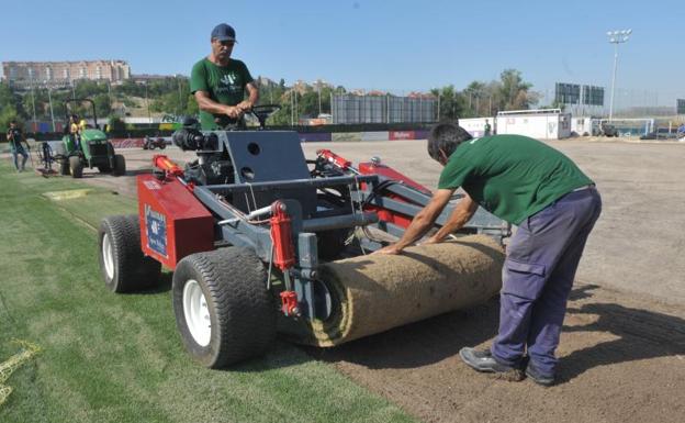 Los Anexos recuperan el césped | El Norte de Castilla